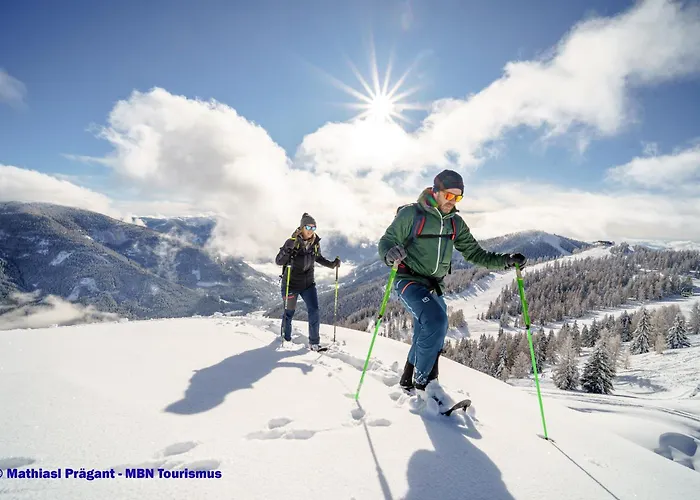 Wellness Dr Krainer Lejlighed Bad Kleinkirchheim