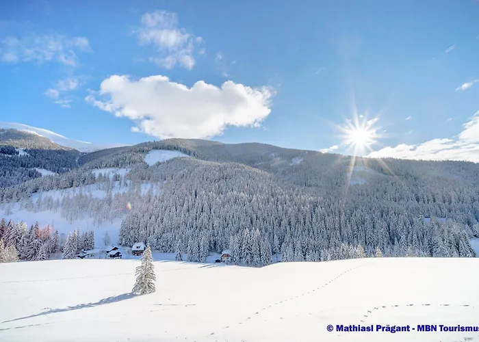 Wellness Dr Krainer Bad Kleinkirchheim