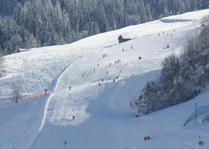 Wellness Dr Krainer Apartment *